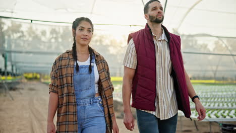 farmers walking in a greenhouse