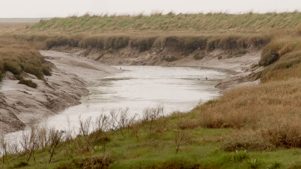 Steeping River at Gibraltar Point, with the tide out showing mud banks