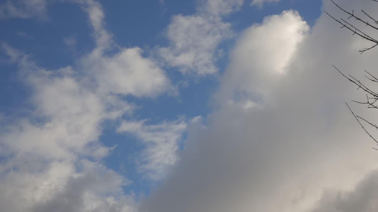 A POV SHOT of a tree in the foreground and a rotating blue sky with clouds in the background.