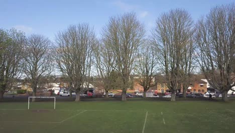 aerial view of some trees in a park with some football fields .