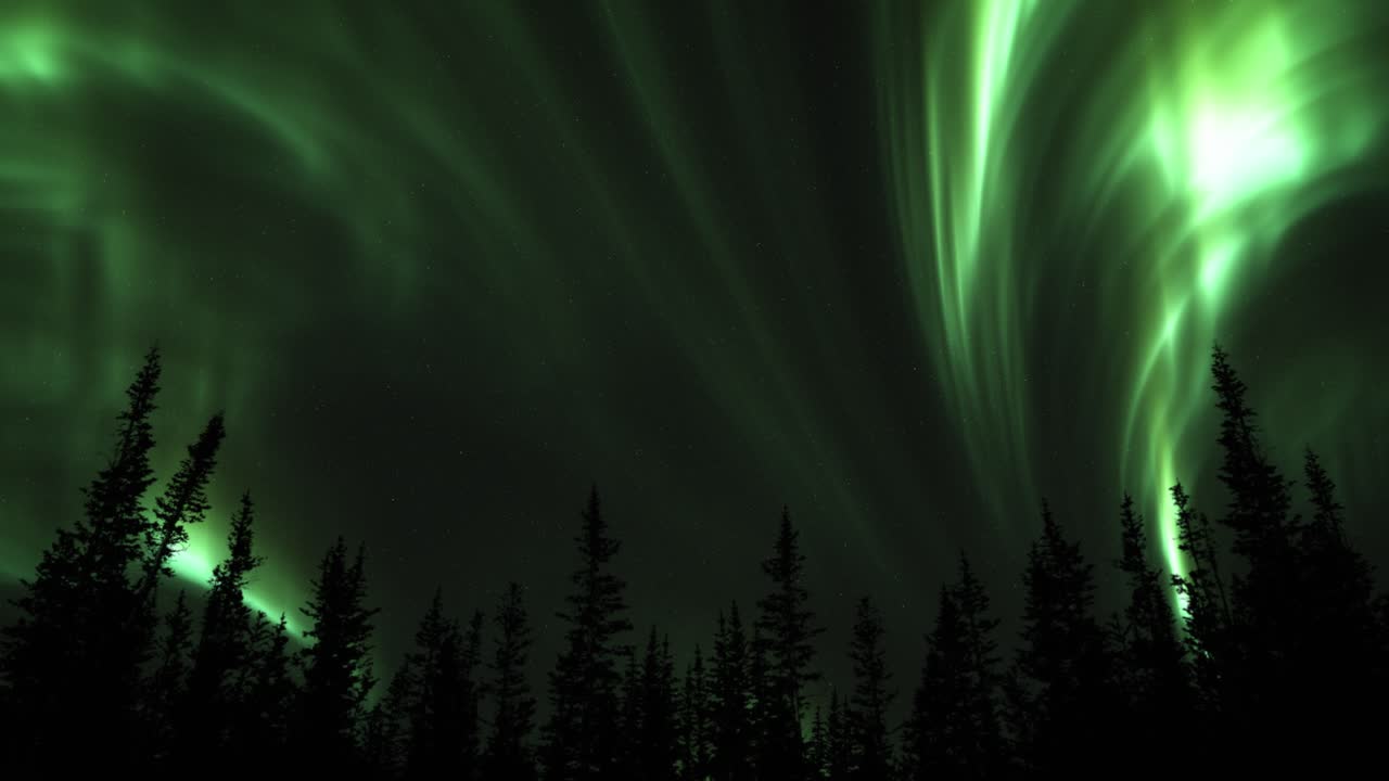 aurora boreal verde en el cielo estrellado - ángulo bajo