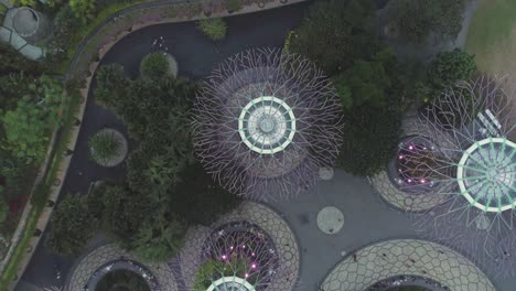 aerial view of gardens by the bay, singapore