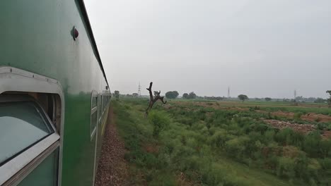 greenline express train is running through fields and trees in rural pakistan