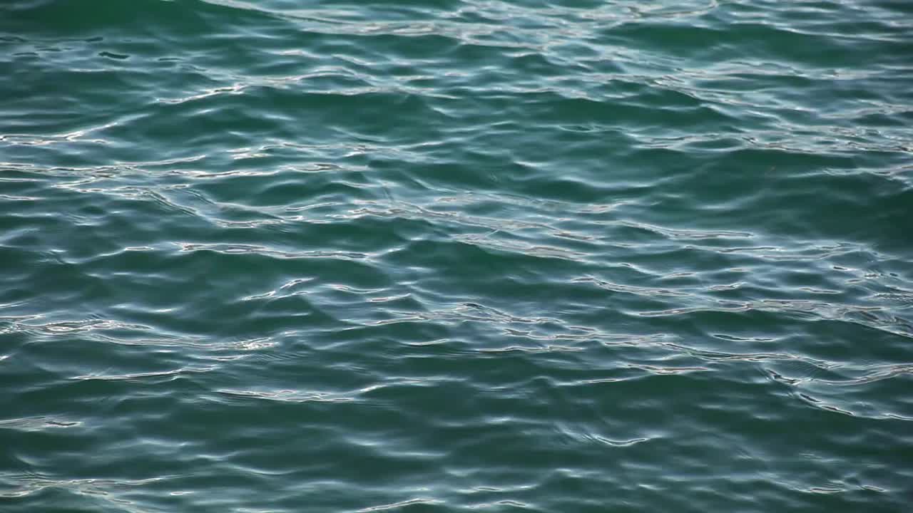 Surface of a lake  on a sunny day