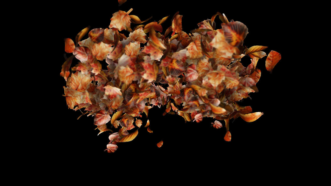 Autumn Leaves Burst Element on Transparent Background