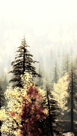 autumn forest in the fog