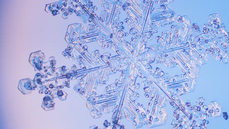 Snowflake-close-up-under-microscope-panning-view-blue-background-fine-details