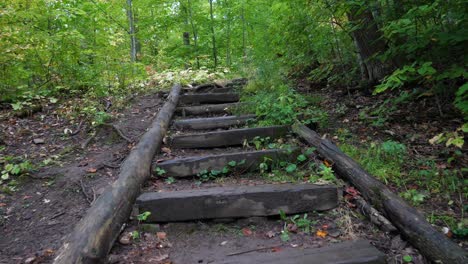 pov climbing wooden stairs along outdoor hiking trail in fall season