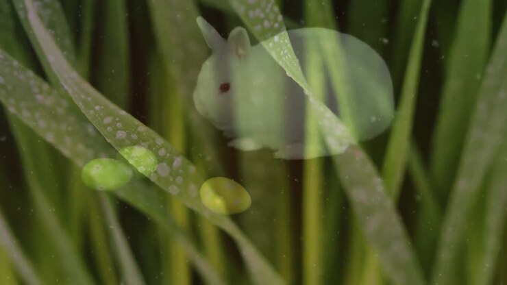 Animation of green grass falling over bunny