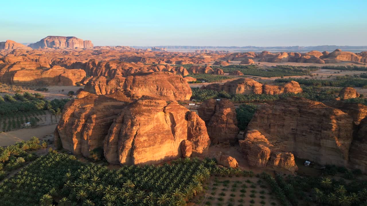 Aerial view trees and green bushes growing in arid desert landscape