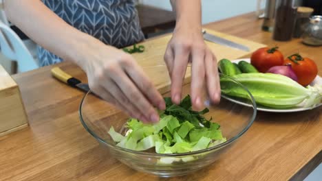 estoy preparando una ensalada.