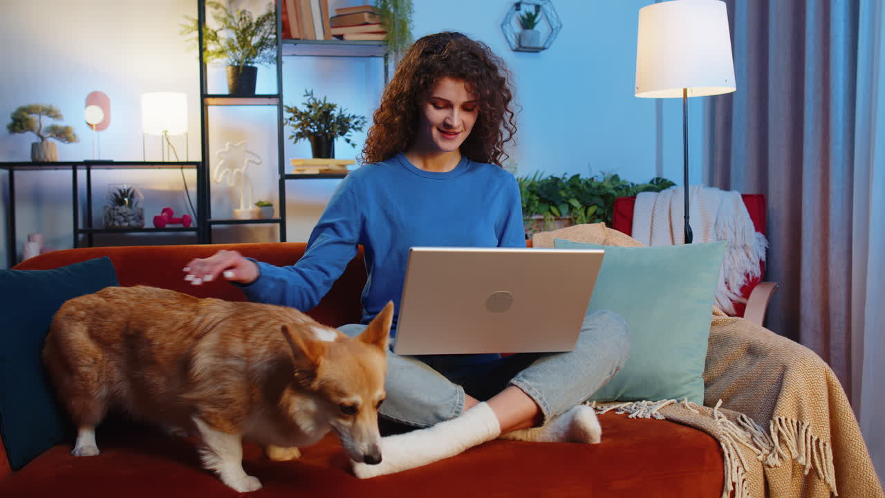 Woman freelancer using laptop netbook working on online project at home on sofa beside corgi dog