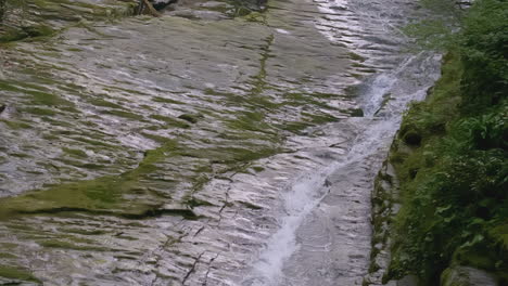 waterfall cascading down mossy rocks in a lush forest