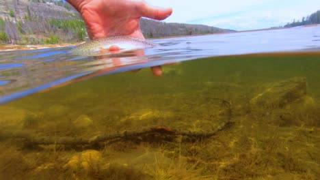pesca con mosca en un lago de montaña
