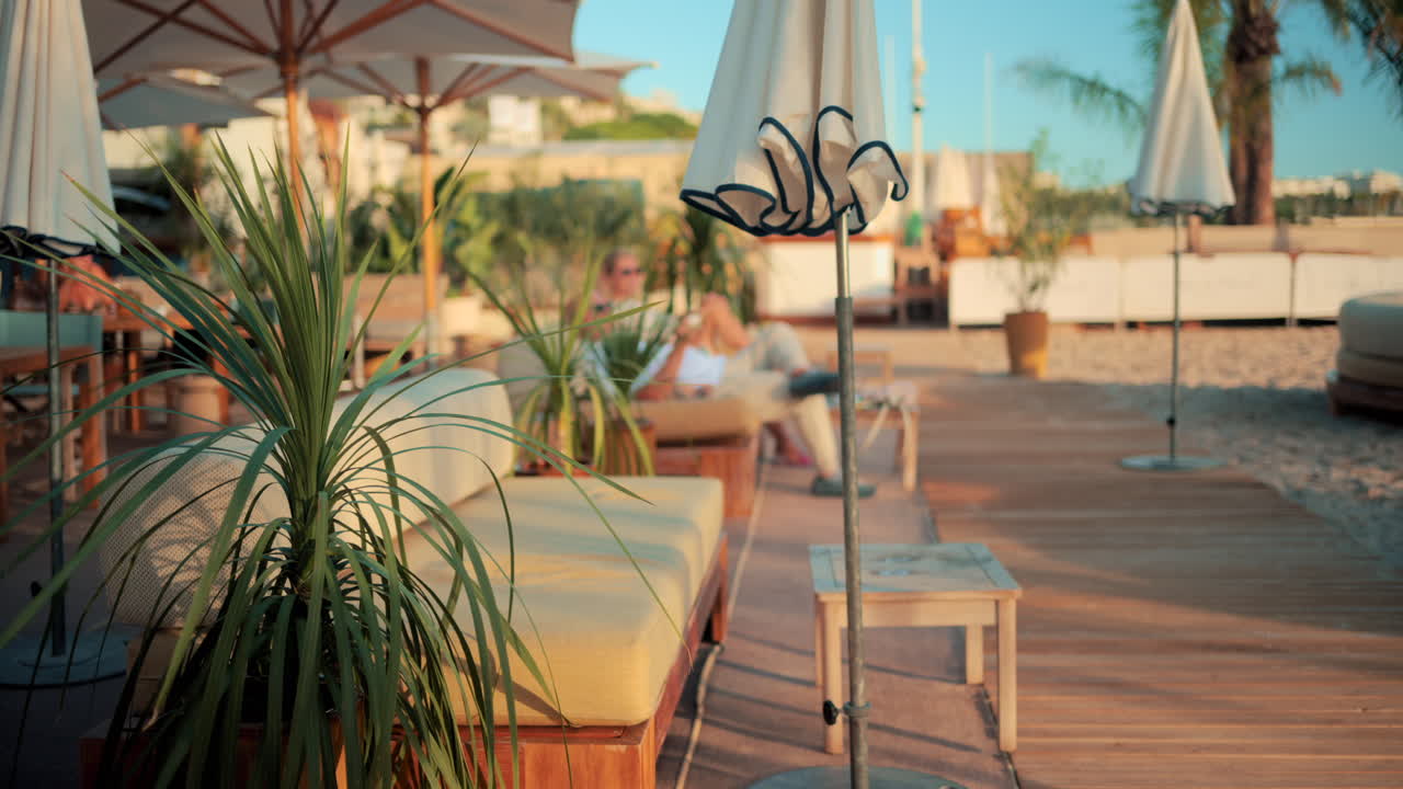 Peaceful morning on a private beach in Cannes, with curved lounge chairs, palm trees, and umbrellas overlooking the calm Mediterranean Sea