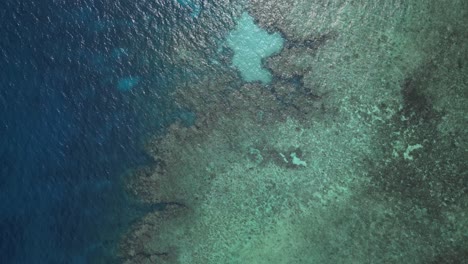 the world's largest coral reef ecosystem the world heritage great barrier reef viewed from above