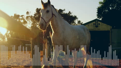3d render showing white horse wearing purple halter standing in sunlit paddock near wooden fence