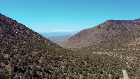 Fly-Over-Wildrose-Peak-Trail-In-Death-Valley-National-Park,-California,-United-States