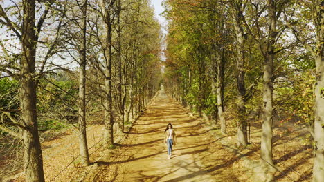 Todos-Los-Caminos-Llevan-A-Casa