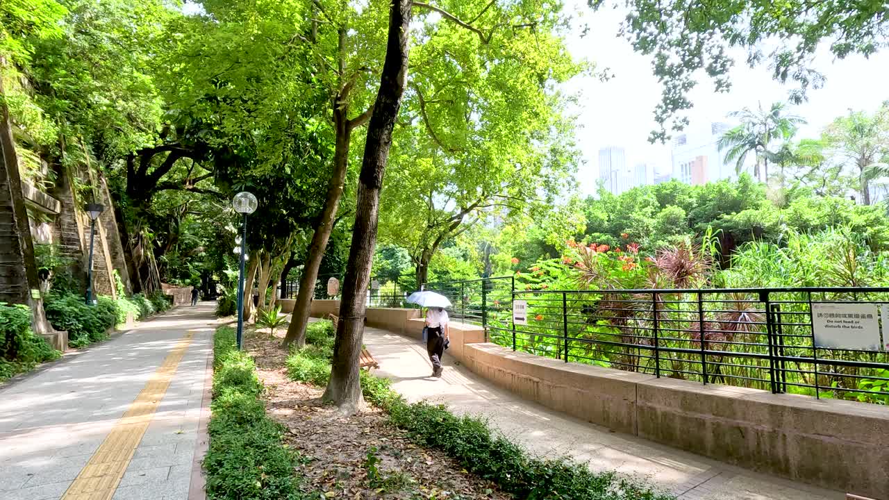 초록색 공원에서 우산을 들고 는 사람