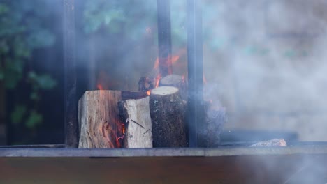 wood logs catching fire and producing smoke