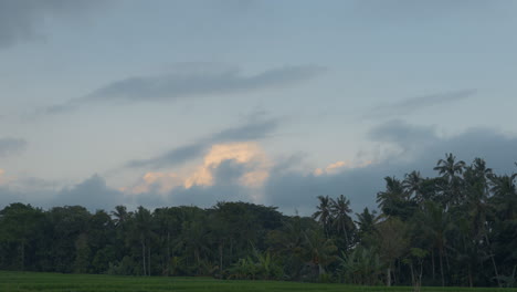 Wolkiger-Dunkler-Himmel-über-Tropischen-Bäumen-Und-Feldern-In-Ubud,-Bali,-Indonesien