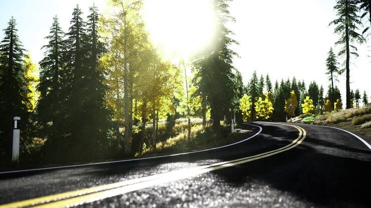 Winding road through vibrant trees in bright sunlight during autumn season