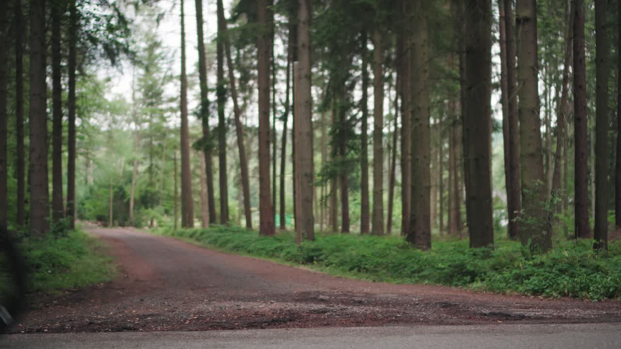 Due persone che corrono in bicicletta nel bosco durante l'allenamento per una competizione Ironman
