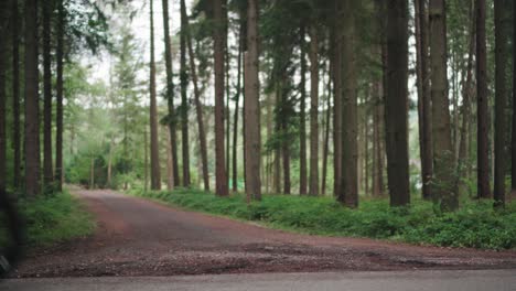 Two-people-racing-bikes-in-the-forrest-during-training-for-ironman-competition