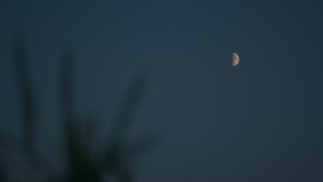 Media-Luna-Arriba-A-La-Derecha-En-La-Noche-Azul-Sin-Nubes