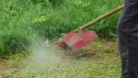 person using a string trimmer to cut grass