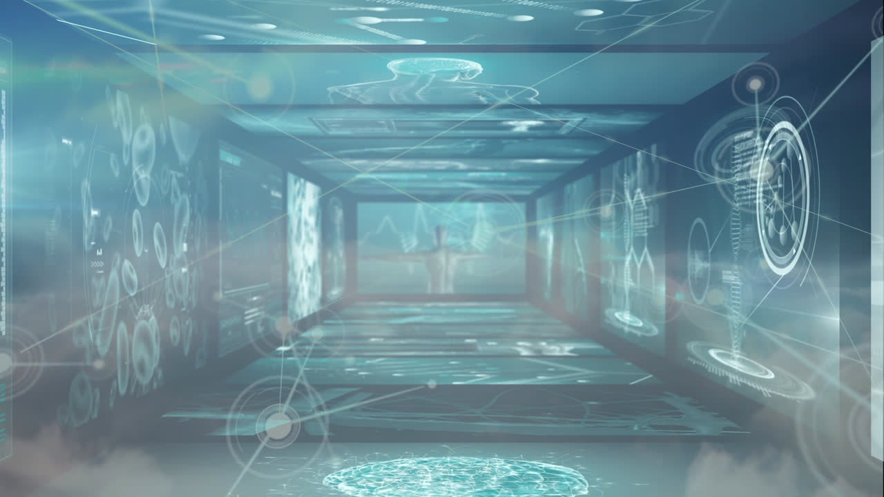 데이터 프로세싱을 통한 연결 네트워크의 애니메이션