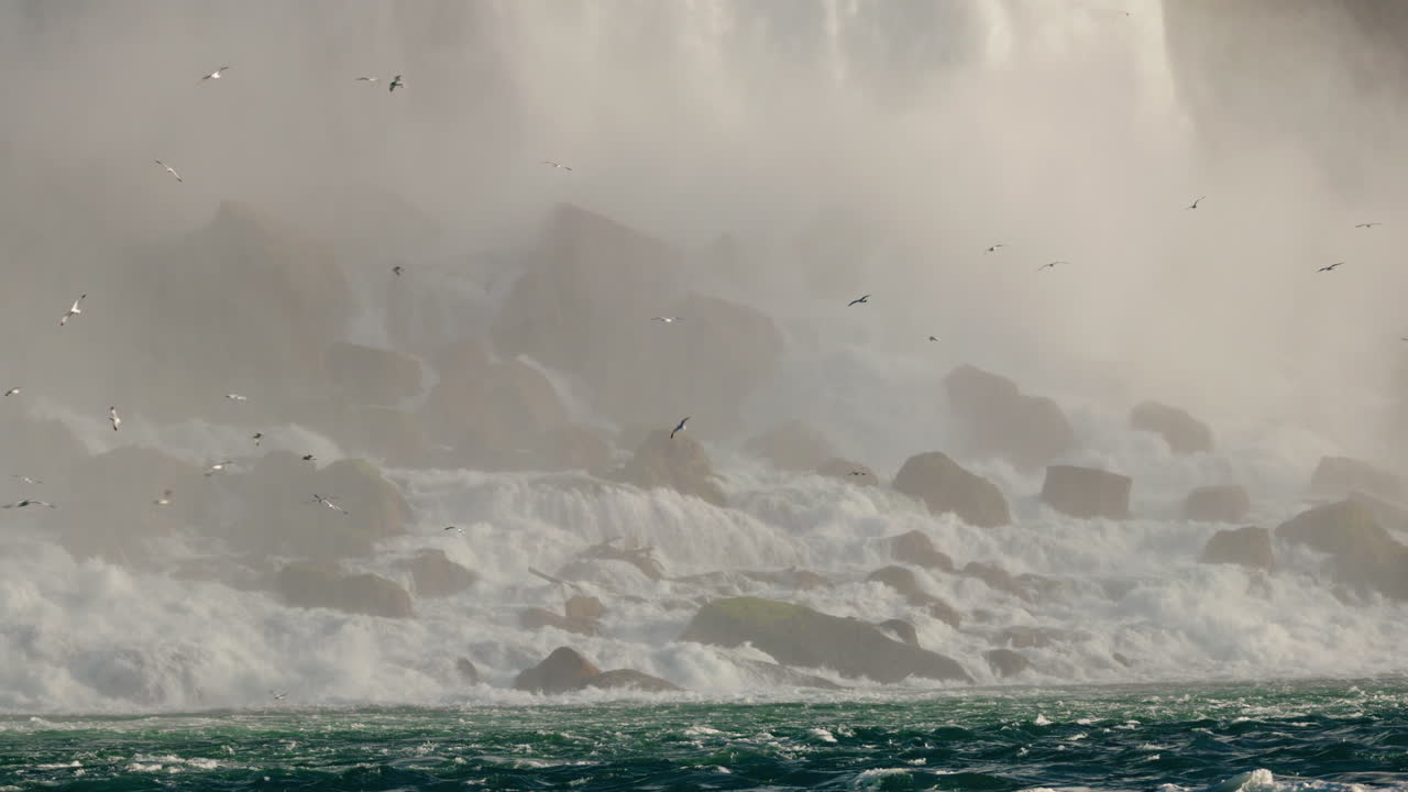 Seagulls flying over powerful Niagara Falls rapids with misty waterfall and turbulent water in natural landscape