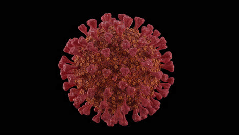 spinning red coronavirus with alpha channel