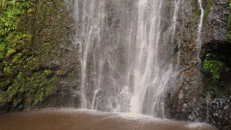 catarata en el paraíso tropical (bucle)