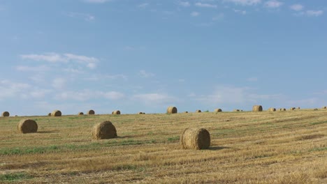 slow tilt on hay bales in the field 4k footage