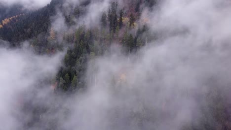 Aerial-tilting-view-of-late-fall-trees-during-autumn-with-clouds-passing-in-Vosges,-France