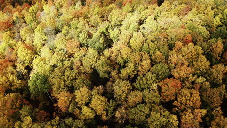 Wolkenschatten-Bewegen-Sich-über-Leuchtende-Herbstfarben-Im-Norden-Von-Michigan