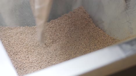 cervecería artesanal moderna. malta para la producción de cerveza. cerveza artesanal. equipo moderno en la cervecería.