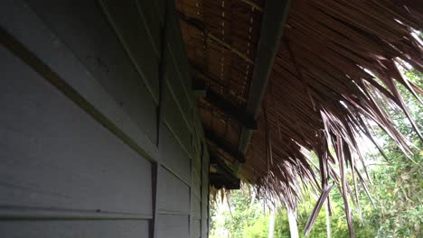 el techo de la casa de los malays kampung