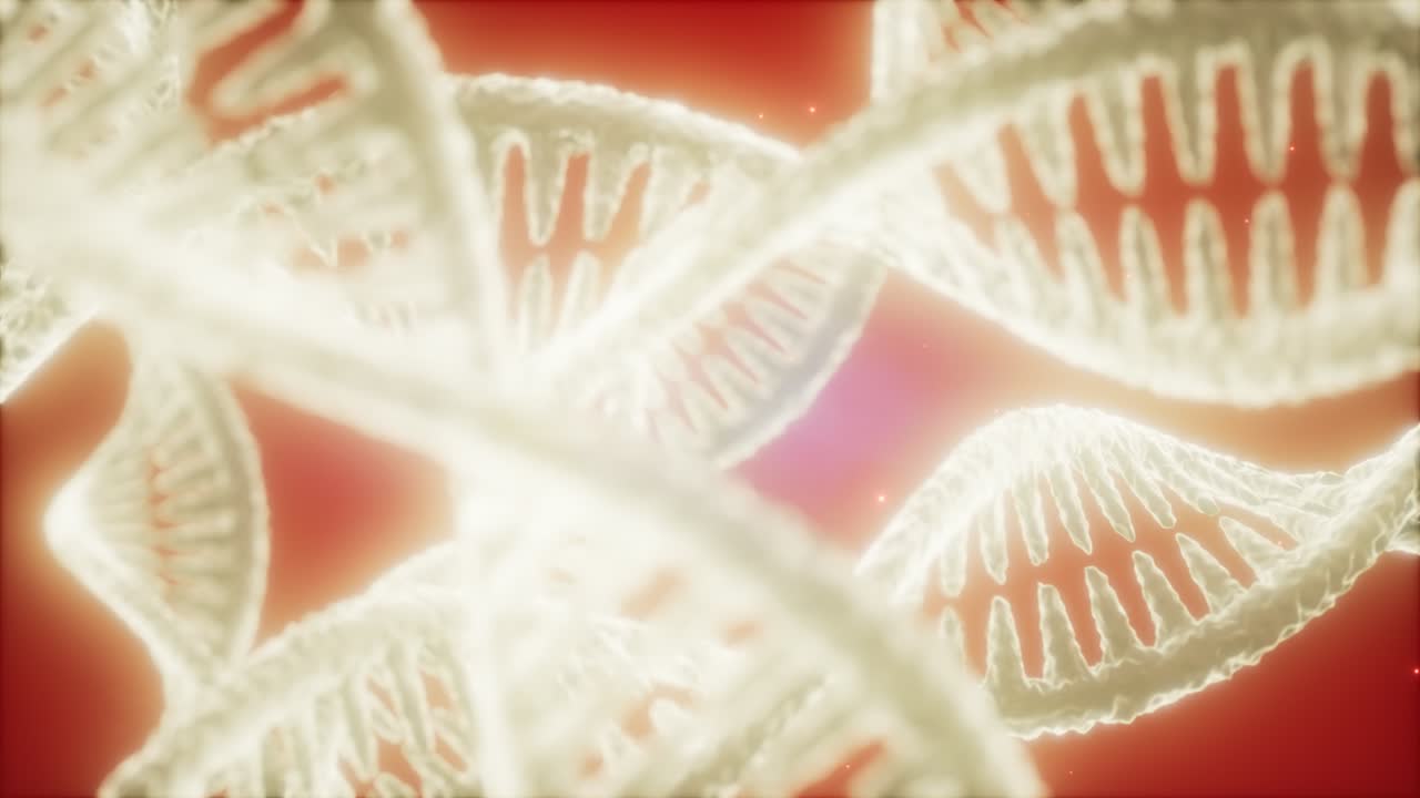 dna 이중 나선 애니메이션의 구조