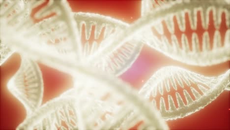 estructura de la animación de doble hélice de adn