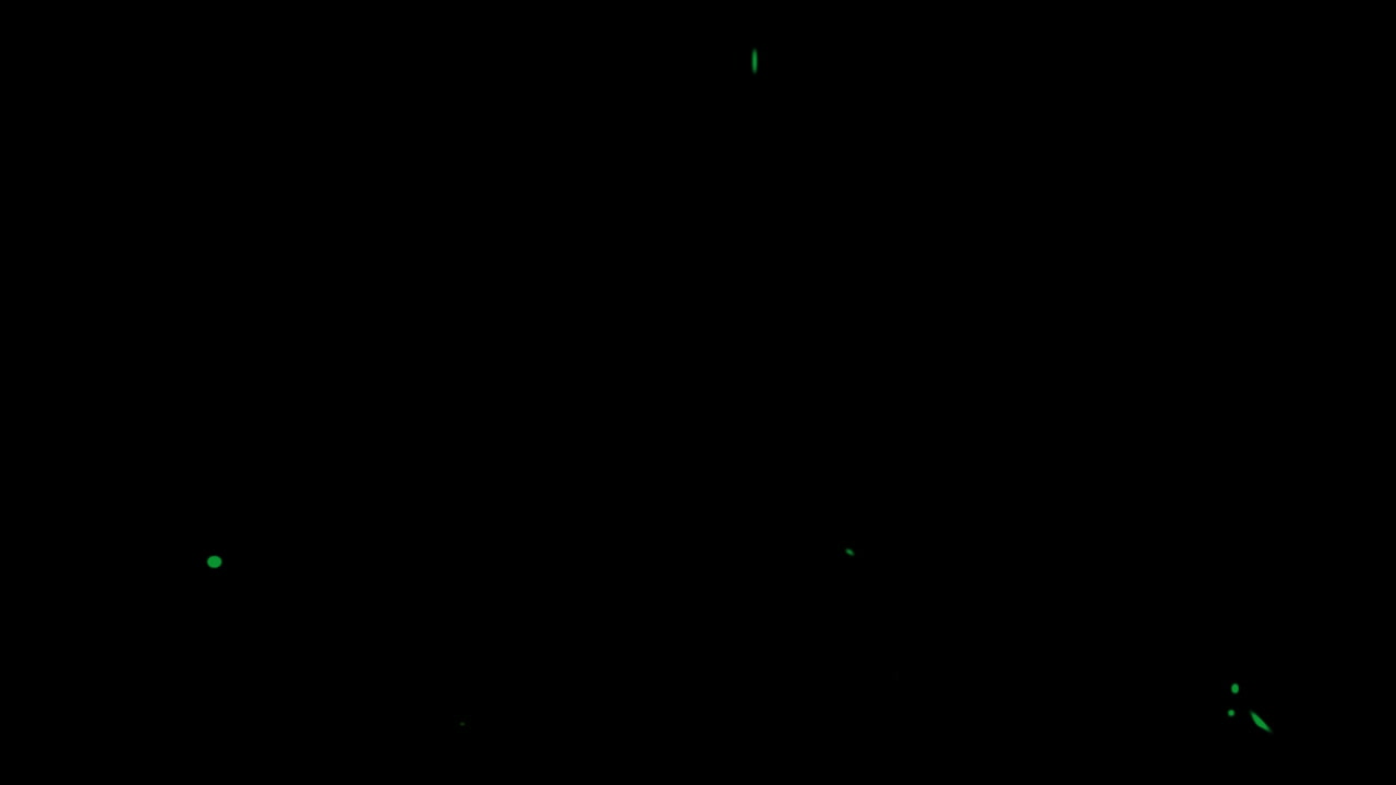 animación de triángulos pulsantes brillantes amarillos y verdes en movimiento