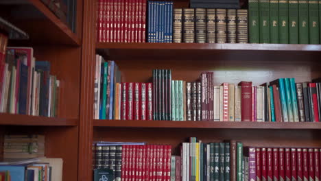 Vista-Panorámica-Del-Interior-De-Una-Pequeña-Biblioteca