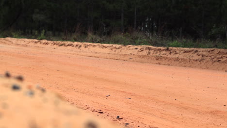 dry and dusty orange dirt road with forest in background