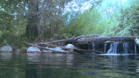 A-shot-moving-from-above-water-to-underwater-reveals-rainbow-trout-swimming-1