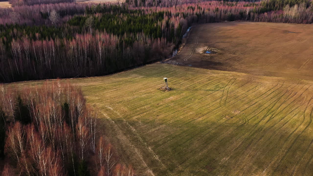 aproximación aérea de la torre de caza en el campo en el lado del bosque