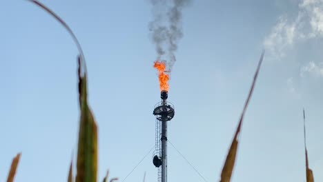 Primer-Plano-De-Teleobjetivo-De-La-Fábrica-De-La-Industria-De-Refinería-De-Pila-De-Bengalas-En-Llamas,-Con-Vegetación-De-Hierba-Muerta-En-Primer-Plano