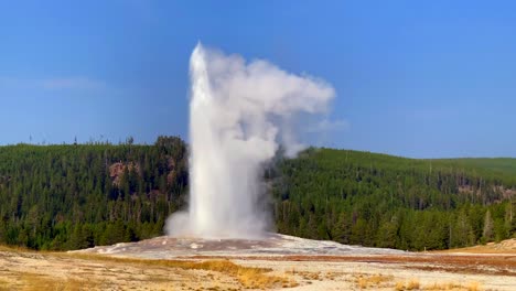 viejo fiel parque nacional de yellowstone gran erupción de vapor de géiser, 4k, ancho, verano, otoño, cielo azul