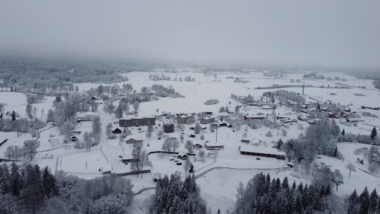 겨울철에 눈 에 있는 숲의 드론에서 찍은 항공 영상입니다.